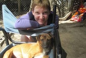 Veterinary Medicine & <br /> Animal Care Veterinary Medicine & Animal Care