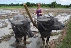 Cambodia A volunteer in Cambodia learns more about the Khmer culture during her cultural immersion project.