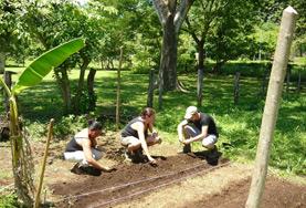Conservation & Environment Conservation volunteers plant seedlings as part of our reforestation efforts in a reserve in Costa Rica.