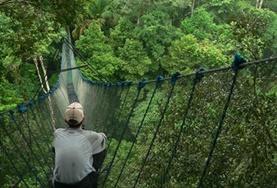 Conservation & Environment A volunteer sits on a tree canopy walkway during a wildlife survey at our Conservation placement in the Amazon, Peru.