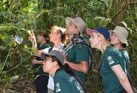 Conservation & Environment A group of adult volunteers go on a bird survey to monitor the local wildlife during their Conservation placement in Peru.