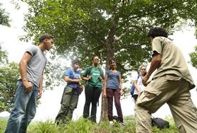Conservation & Environment Conservation volunteers plant seedlings as part of our reforestation efforts in a reserve in Costa Rica.