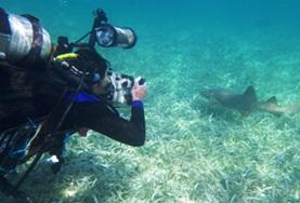 Conservation & Environment Volunteer in Belize for High School: Conservation