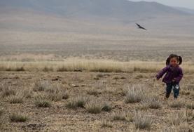 Language Courses A young Mongolian child from one of our nomad host families chases a bird through a field.