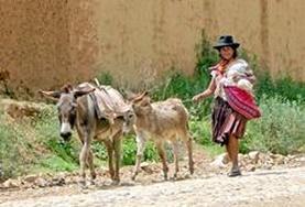 Language Courses A local woman in Bolivia, where we hold our Quechua language course.